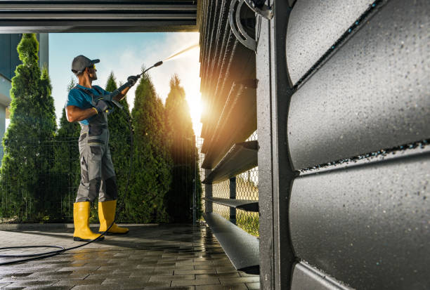 Best Solar Panel Cleaning  in Roanoke Rapids, NC